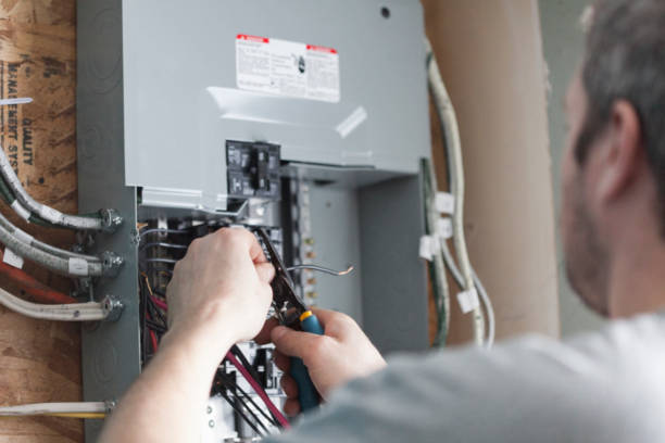 Best Generator Installation and Maintenance  in Royalton, IL